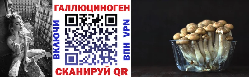 Псилоцибиновые грибы Psilocybe  Шебекино 