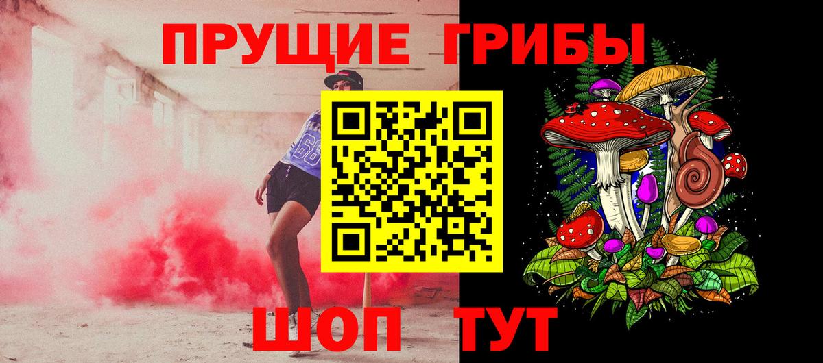 Псилоцибиновые грибы мицелий Шебекино